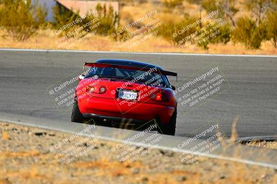 media/Nov-16-2024-Extreme Speed (Sat) [[6587d07cc4]]/Purple Group/Session 3 (The Bowl)/